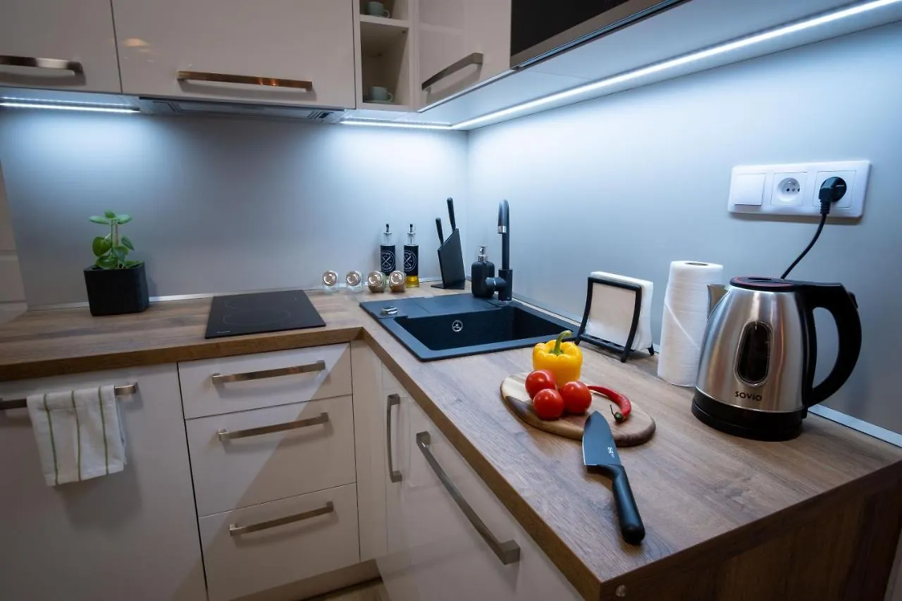 Apartment ⭑ Comfy Vip Studio In The Center With Netflix Brno Czech Republic
